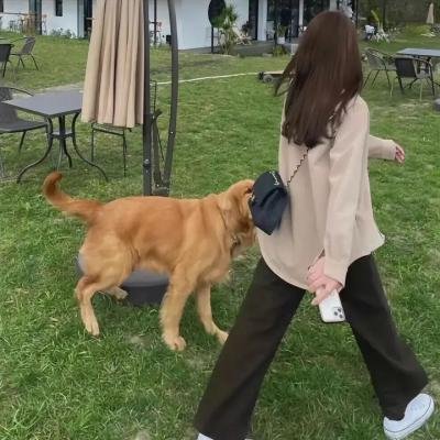 养鬼粤语